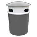 Borowik_10s.png